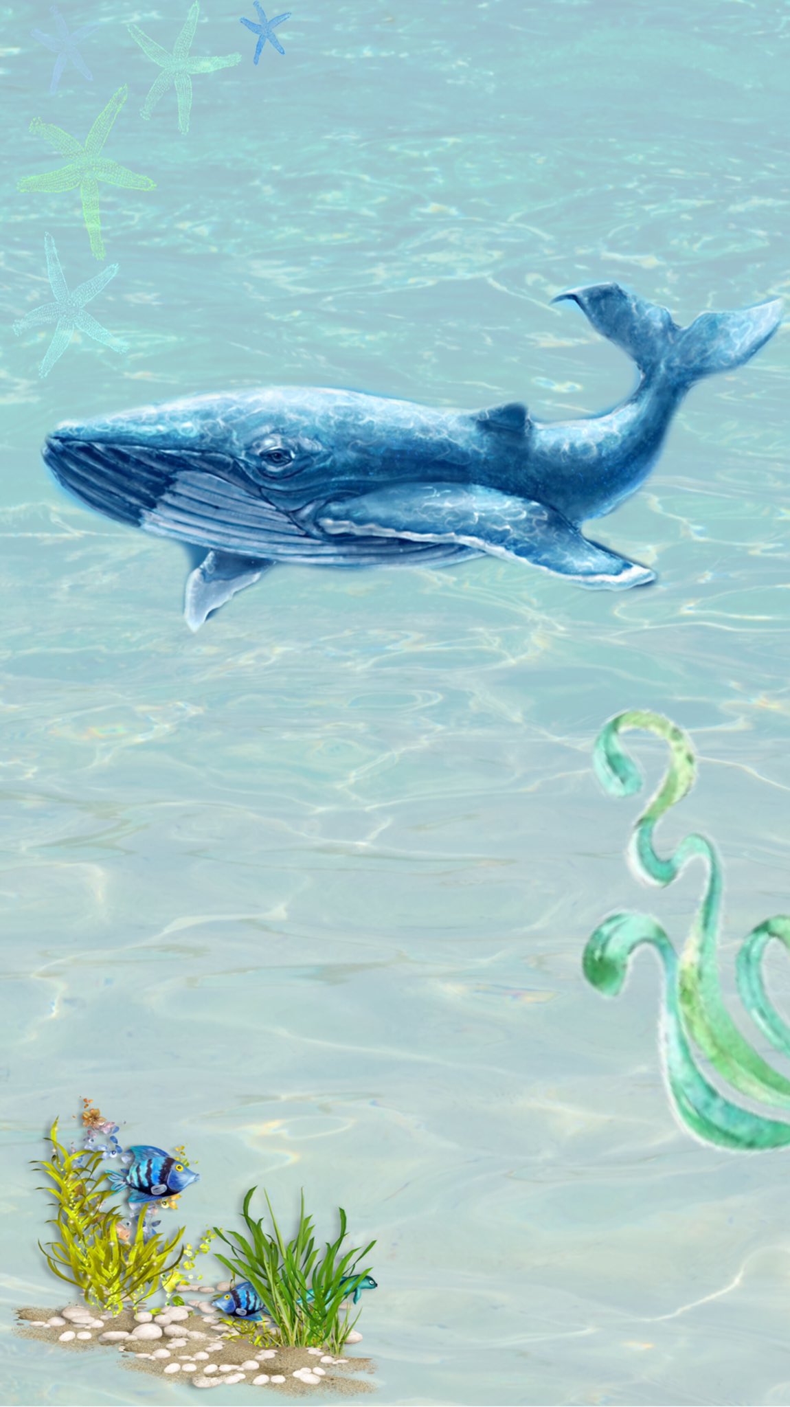 おコメ See Ocean 海 くじら 魚 ロック画面 T Co I3tbm8xkc8 Twitter