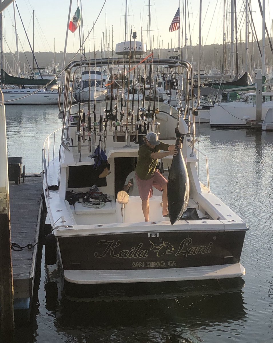 TheMarlinClubSD's tweet photo. Shanoe with a 170.2lb BFT 💙🎣 #IGFA Weigh Station #TheMarinClub #ShelterIsland #SanDiego #SD #MarlinClub #SanDiegoFishing #FishingSanDiego #PointLoma #OceanBeachSanDiego #SanDiegoBay #SandiegoAnglers https://t.co/071KlnUvr0