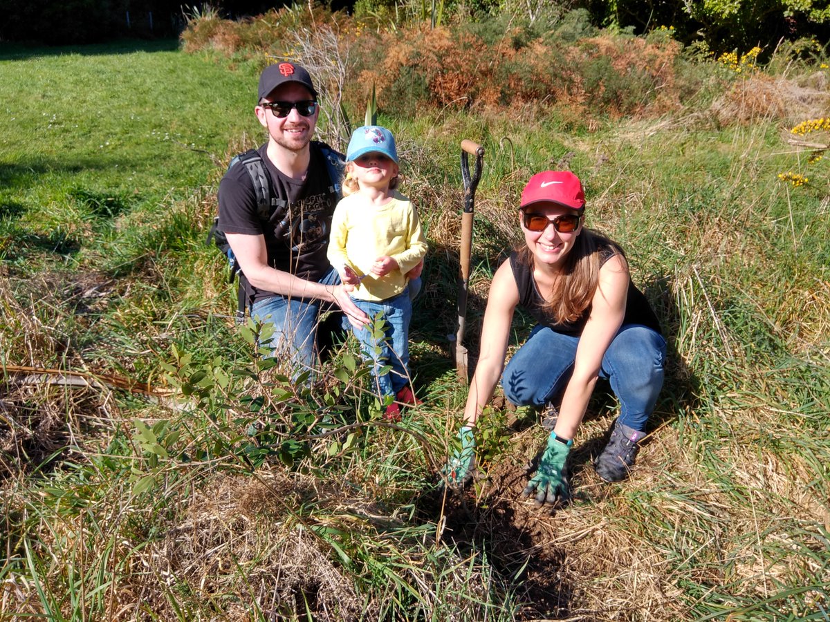 p_kiwi's tweet photo. Saw - and heard - #ShiningCuckoos for the first time this season down at the #Catchpool today whilst helping some families out planting sponsored native trees. Gorgeous Spring day in the #RemutakaForestPark, with hundreds down there soaking up the sunshine! #RFPT. #Conservation. https://t.co/ofG5nFTEtl
