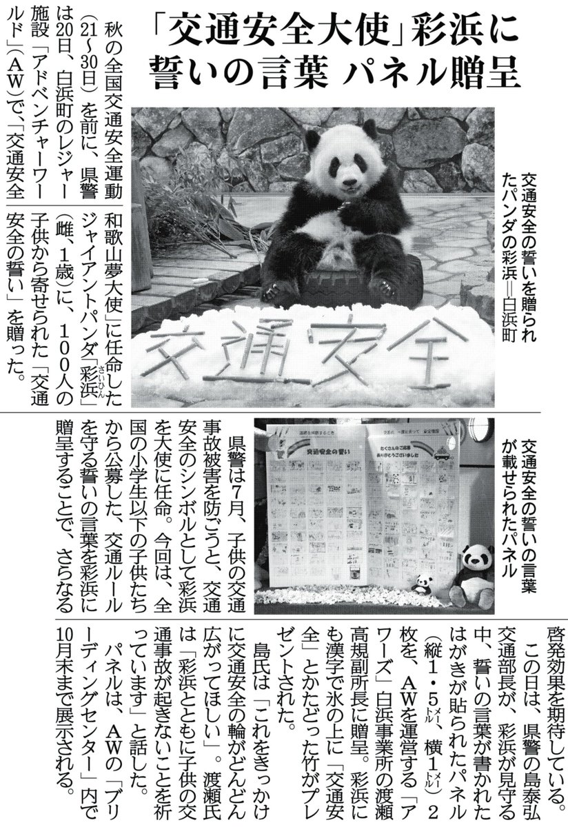 関西にこそニュースがある 紙面キリトリ 彩浜に 交通安全の誓い 和歌山県警は日 レジャー施設 アドベンチャーワールド で 交通安全和歌山夢大使に任命したジャイアントパンダ 彩浜 に 交通安全の誓い を贈りました 21日付和歌山版