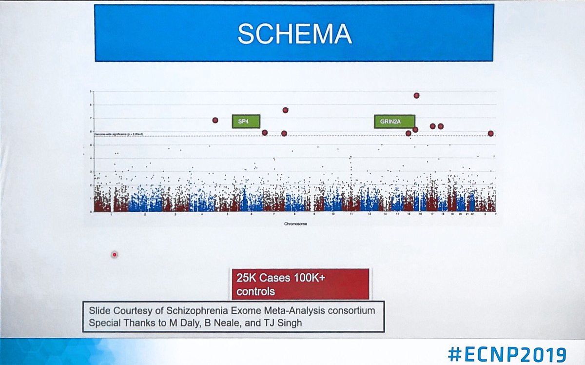 Boris Chaumette (@borischaumette) on Twitter photo Michael O’Donovan is delivering a plenary lecture in #ECNP2019 and summarizes the genetic architecture of #schizophrenia: polymorphisms, CNVs and SNVs. Thanks <a href="/ECNPtweets/">ECNP</a> for increasing the awareness of genetic factors beyond psychiatric disorders! <a href="/psych_engage/">EnGagE Action</a> <a href="/PGCgenetics/">PGC Consortium</a> Michael O’Donovan is delivering a plenary lecture in #ECNP2019 and summarizes the genetic architecture of #schizophrenia: polymorphisms, CNVs and SNVs. Thanks <a href="/ECNPtweets/">ECNP</a> for increasing the awareness of genetic factors beyond psychiatric disorders! <a href="/psych_engage/">EnGagE Action</a> <a href="/PGCgenetics/">PGC Consortium</a>