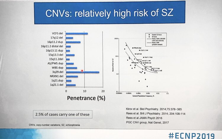 BorisChaumette's tweet photo. Michael O’Donovan is delivering a plenary lecture in #ECNP2019 and summarizes the genetic architecture of #schizophrenia: polymorphisms, CNVs and SNVs. Thanks @ECNPtweets for increasing the awareness of genetic factors beyond psychiatric disorders! @psych_engage @PGCgenetics https://t.co/je2njpQDFJ