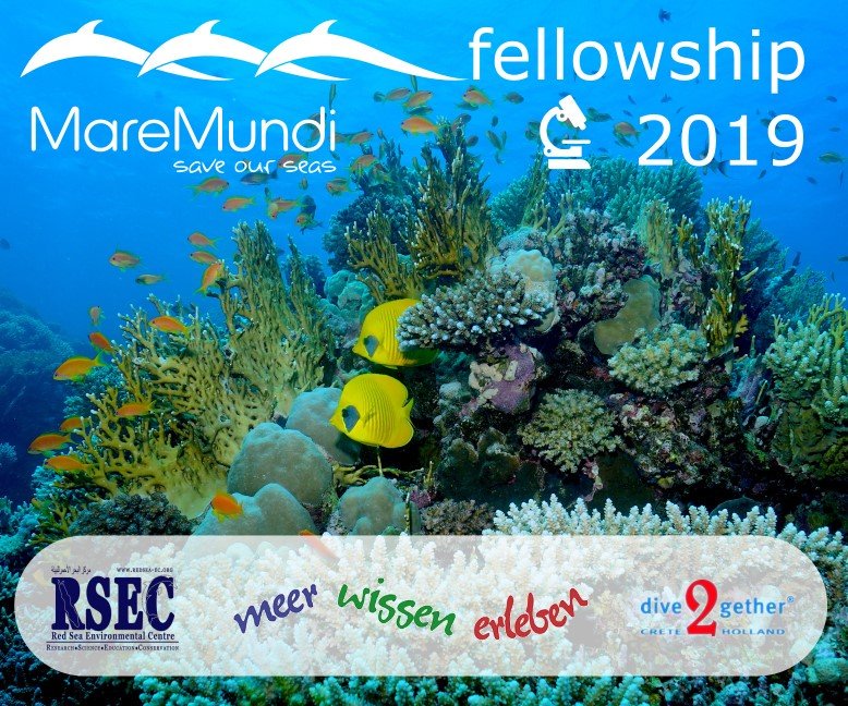 Wir freuen uns sehr die Gewinner unserer Stipendien 2019 bekanntgeben zu dürfen!
mare-mundi.org/maremundi-stip…