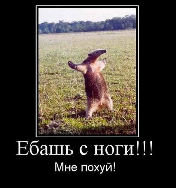 dok_pan's tweet photo. @cgtr Сильный ход :-)) Напомнило: https://t.co/GNb7wQxnbL