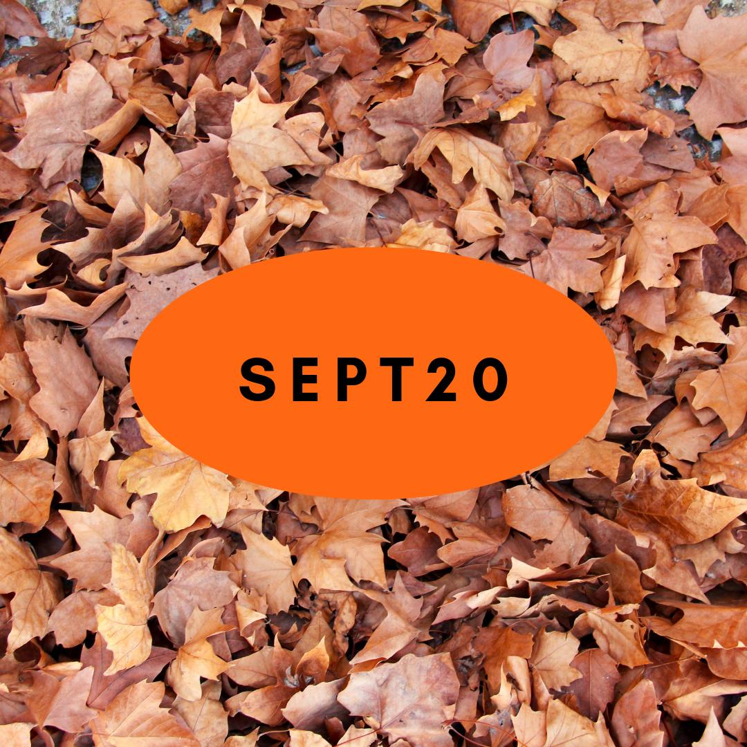 Autumn has arrived! Celebrate (or commiserate) by getting 20% off ANYTHING on the site until midnight GMT by entering the code SEPT20 at checkout!
luckies.co.uk
