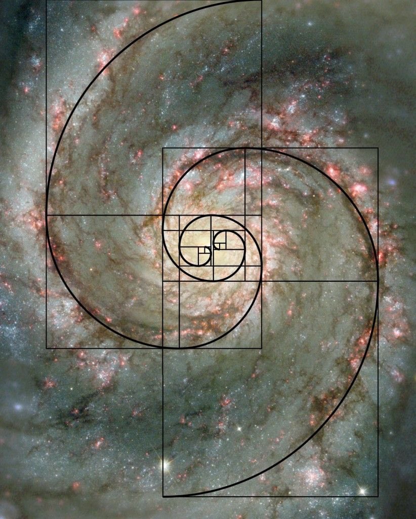 Forgot to add: Fibonacci pattern is wat prevents universe frm collapsing. Most common shape of galaxies is spiral. So its very possible that the shape also helps in EASE OF FLOW of energy.