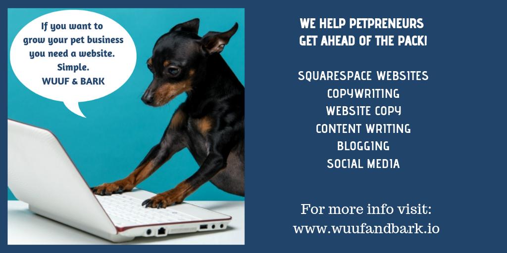 Why your pet business needs a website bit.ly/2lFcUrK #pets #website #dogs #petbusiness #dogwalker #dogtraining  #doggrooming #BizTips #MondayMotivation