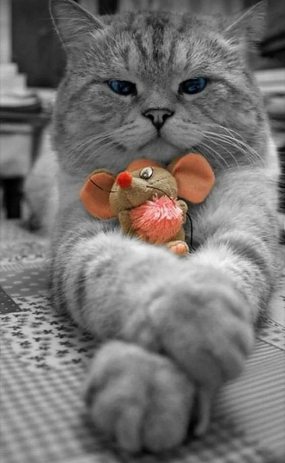 Ognuno è unico
          ed anche un po' solo.