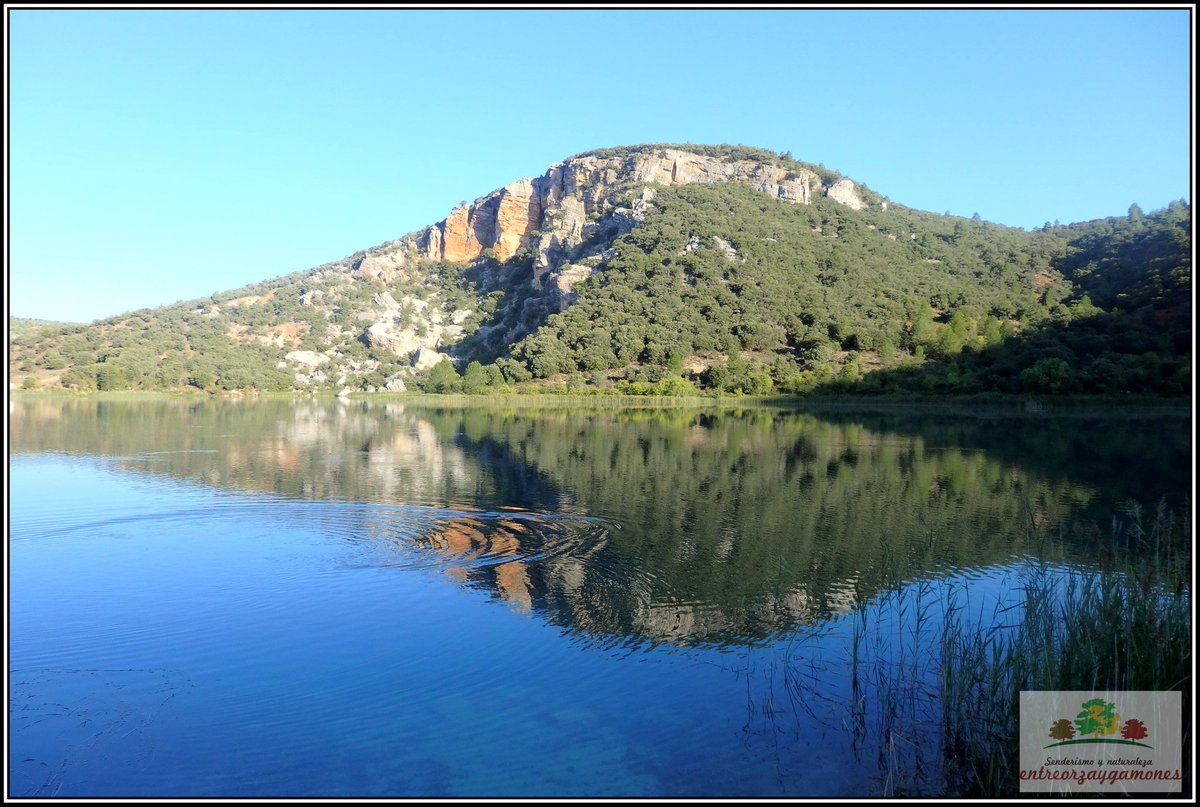 entreorzaygamon's tweet photo. #Laguna grande #ElTobar #Cuenca #senderismo #naturaleza en vivo #SerraníadeCuenca #visitacuenca un paseo por las #Sendas de la #Serranía una mañana de #Septiembre https://t.co/2fag2wH1eo