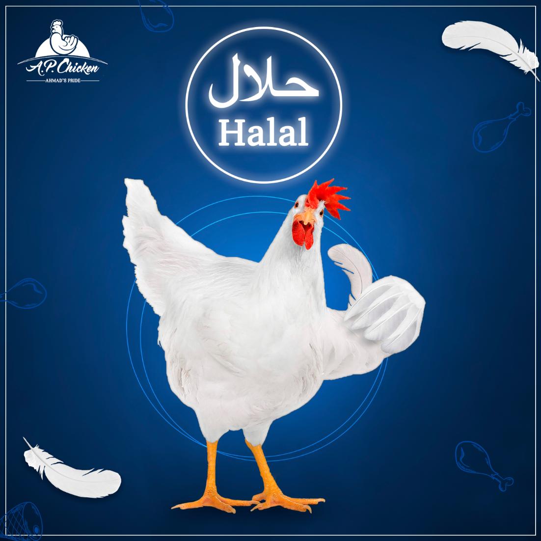 ap_chicken's tweet photo. Slaughtering of chicks is done according to Shariyah by performing Takbeer, then they are subjected to Quick Freeze Technology for preservation.
#ApChicken #FrozenChicken #Chicken #Halal #Freshmeat #Natural #EasynQuick https://t.co/s3rk3JDlq7
