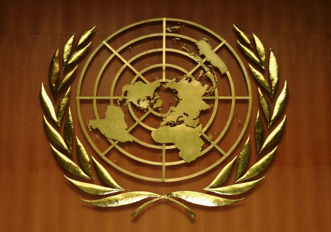  UNITED NATIONS 1) An in-depth look at the UN and the people who have been involved in its creation, operations, and programs.