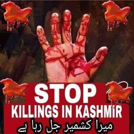 amldweeny's tweet photo. #fix2k20  #help_kashmir https://t.co/KQWpZMYd4p