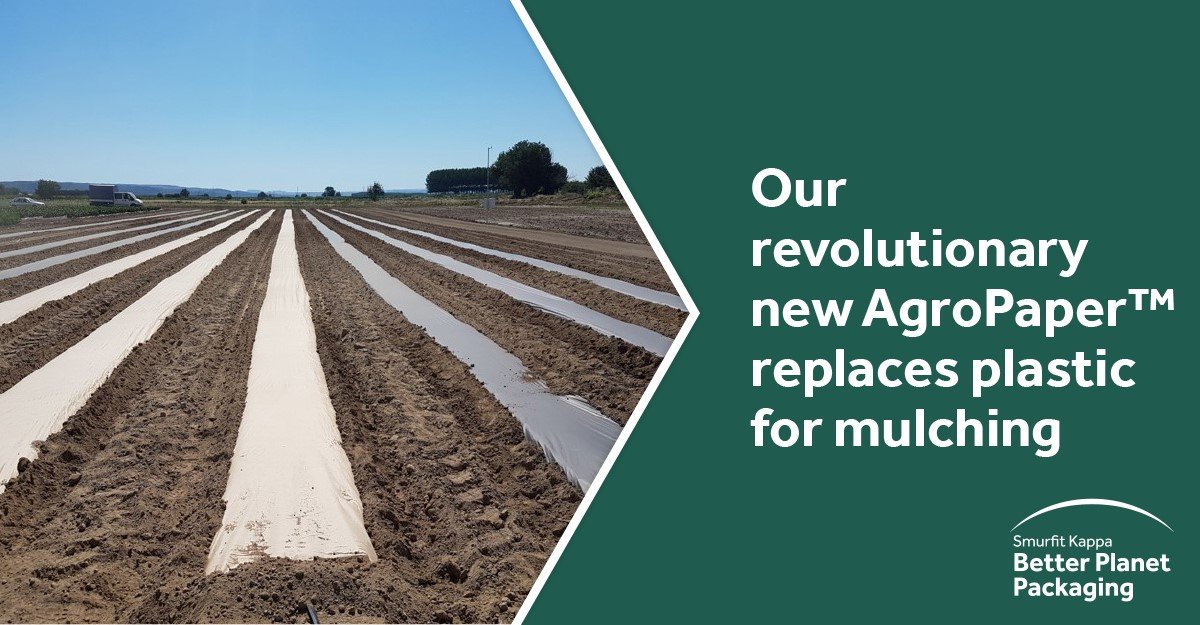 smurfitkappa's tweet photo. A revolution in the field of farming, #AgroPaper™ protects your plants while protecting the planet. You don’t have to remove it after harvest, or worry about bits polluting your soil, you simply plough it back into your field.  Click here to find out more https://t.co/ubHgPuGjWK https://t.co/LWpBpTJKC6