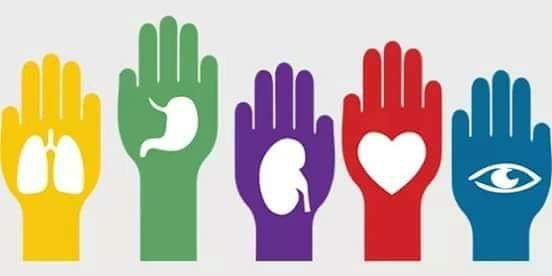 angdaanmahadaa1's tweet image. Raise your hand if your life has been touched by organ, eye and tissue donation 💚💙 
#DonateLife
