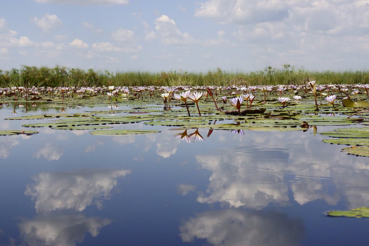 Double Tracks Africa tweet media