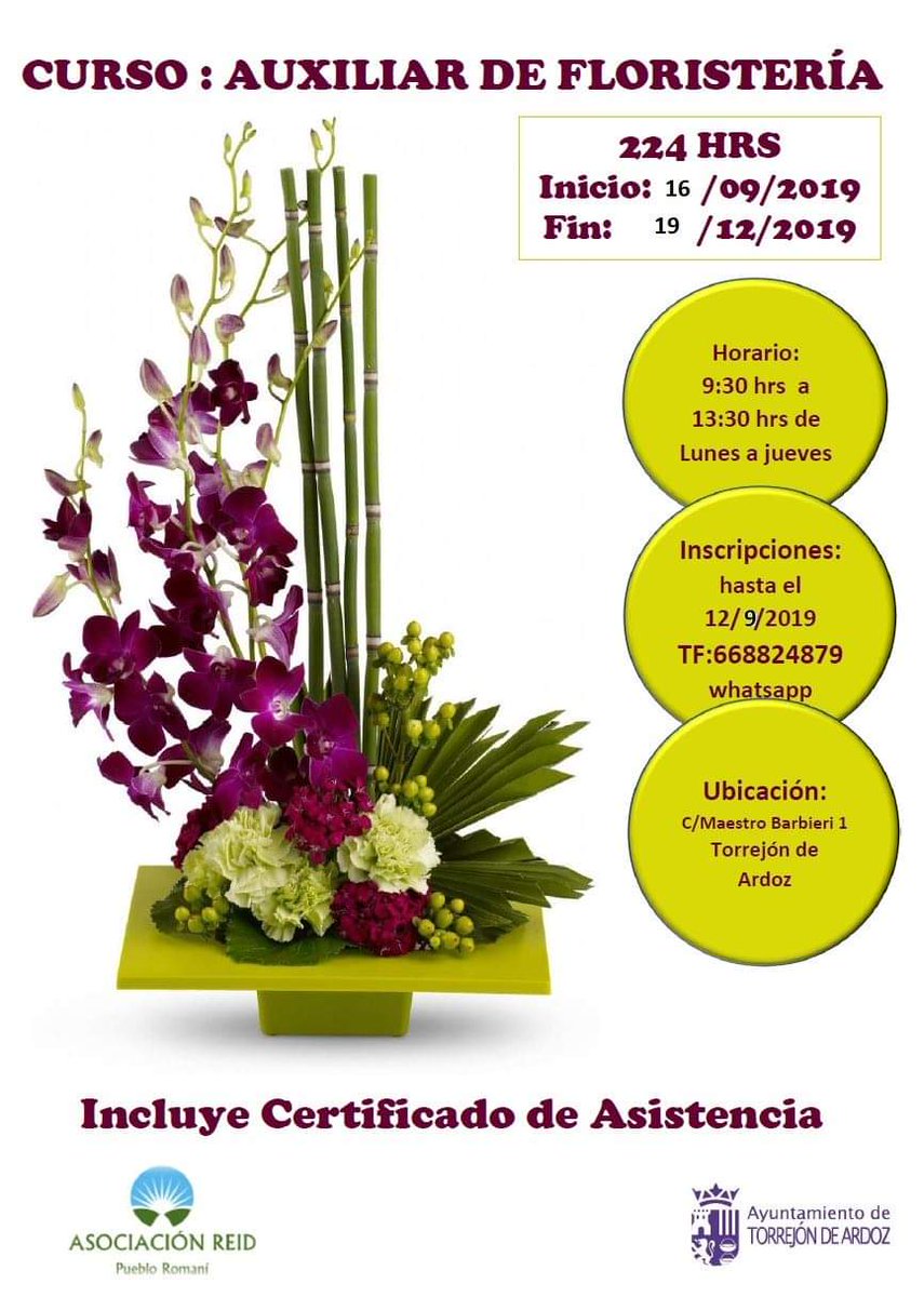 Torrejonjoven On Twitter Curso De Auxiliar De Floristeria En Torrejon De Ardoz Gratuito Abierto El Plazo De Inscripcion Hasta El 12 De Septiembre Incluye Certificado De Asistencia Aprovecha Y Formate Https T Co Pqizsepmuf
