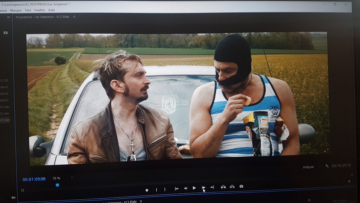 Finir le montage des "Seigneurs" ! Mix + etalo et projection le lundi 14 octobre à la SACD