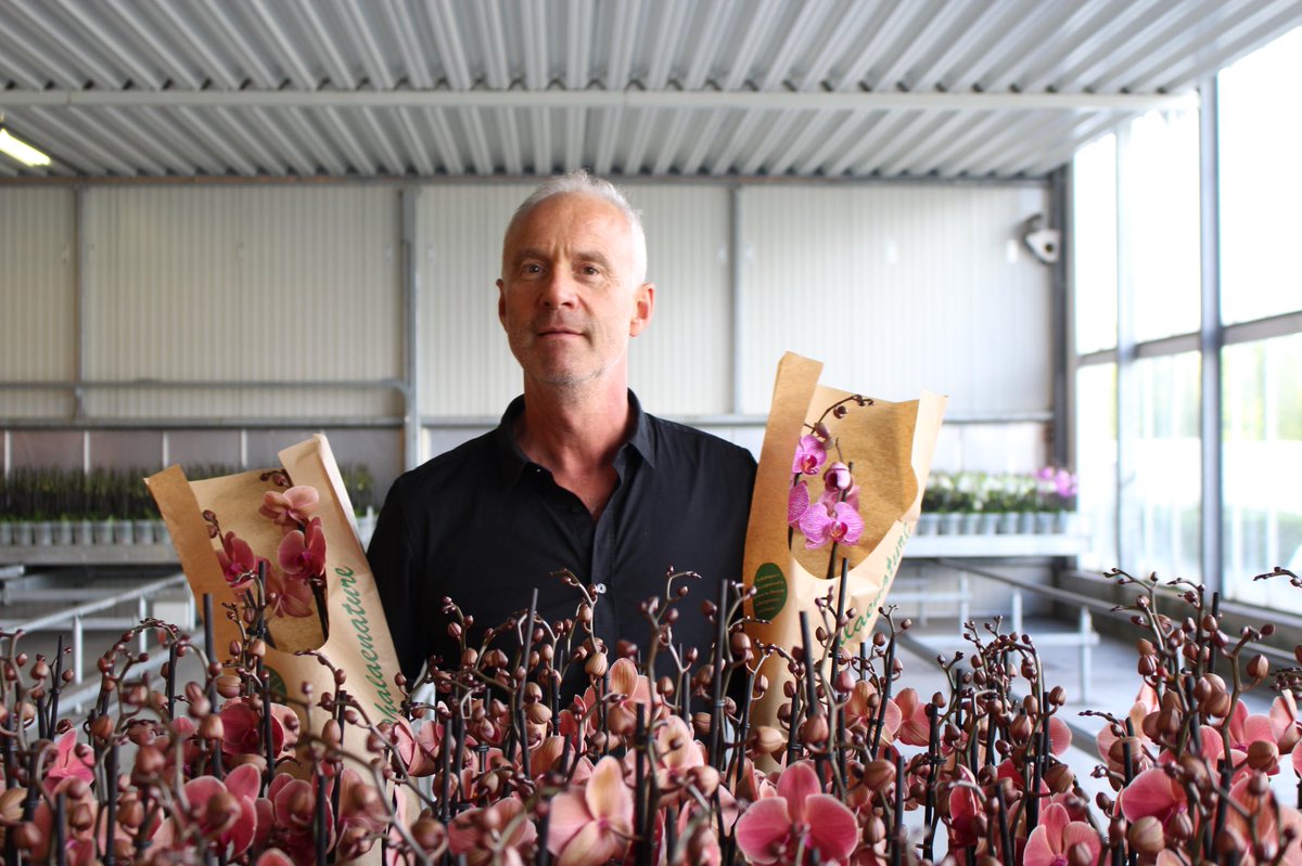 WooningOrchids's tweet photo. Our sustainable Phalaenopsis concept is available from today. Phalaenature doesn’t use plastic packaging material! More info on our website. https://t.co/xoPIBQRRGE