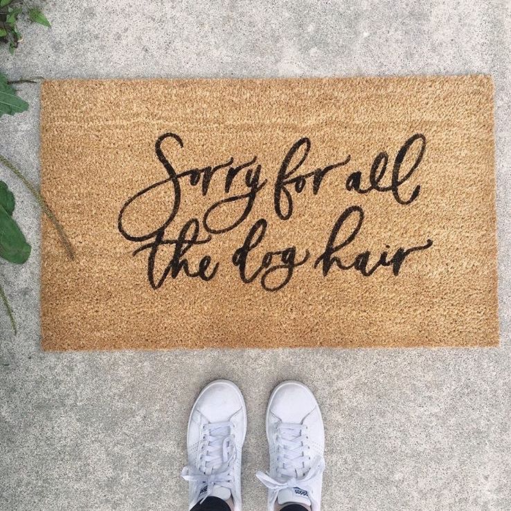 junnipets's tweet photo. Sorry not sorry 🙃 (Boa semana!)
.
📸 @properletter
.
.
.
.
#sorrynotsorry #doghairdontcare #itslove #dogmoms #dogsofinstagram #doglove https://t.co/f06zBs0GZG
