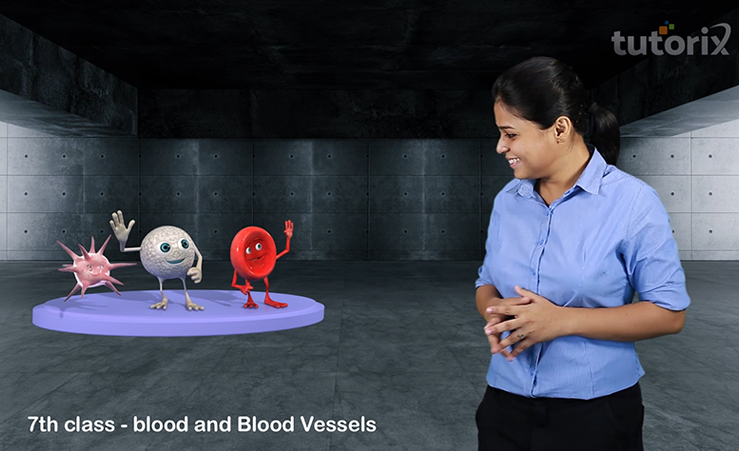 TutorixIndia's tweet image. Blood makes upto 7% of human body. Learn about the different types of blood cells and their importance with our interactive video. To watch, click the link tutorix.com.

#class7science #learningmadefun #tutorix #class7biology  #cbsesyllabus.
@TutorixIndia