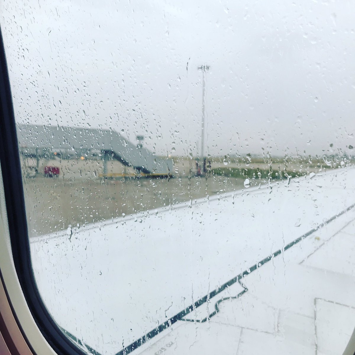 Mary-Jane Budd tweet media