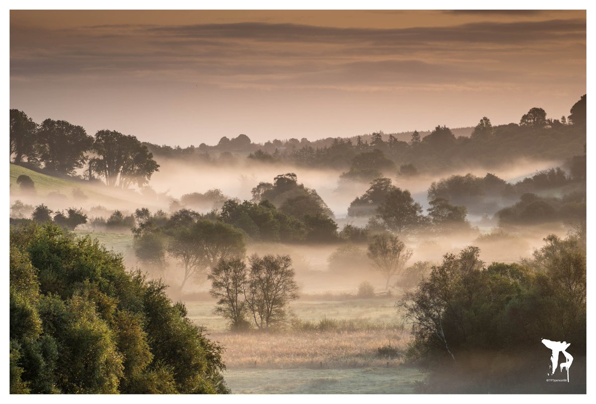 We drove through the night from the UK back home to Clare and have been met with the most beautiful, autumnal misty morning.
Absolute heaven
#ThePhotoHour #WildAtlanticWay #Photography