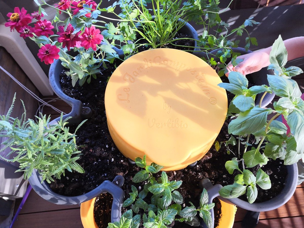 Du neuf sur ma terrasse avec des jardinières et des vers :-) #lombricompostage