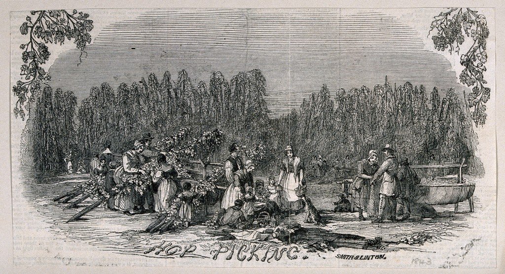 Unknown artist, engraving by Smith &amp; Linton, "Hop Picking," 1843. Wellcome Collection.