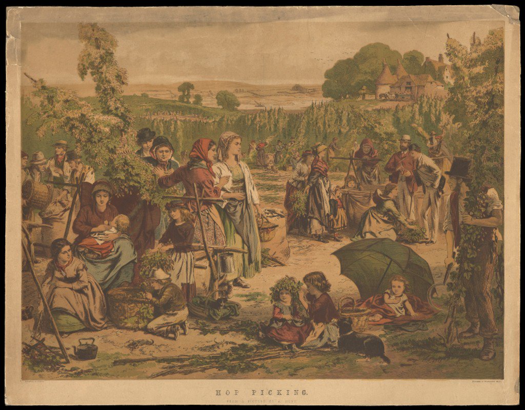 A. Hunt (artist), Leighton Bros. (printers), "Hop Picking," 1850–1859 (estimated). Wellcome Collection. 

"Men and women work in the hop fields, possibly in Kent or Surrey, England."
