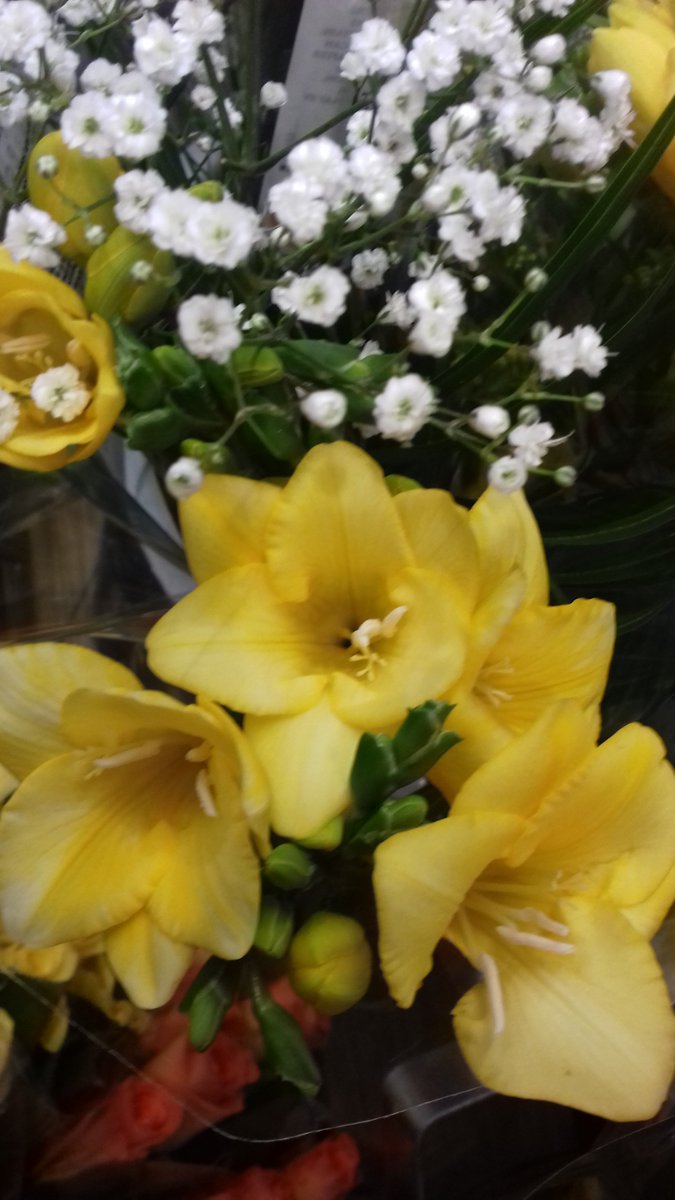 Sharonmmorton's tweet photo. Good morning everyone
Every sunrise marks the rise of life over death, hope over despair and happiness over suffering. Wishing you a very enjoyable day, and a happy blessed week ahead
💕🌷🌸🌹🌷🌸🌹🌷🌸🌹💕 https://t.co/ouTmY5uTfa