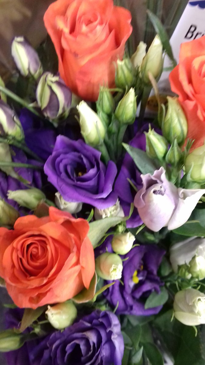 Sharonmmorton's tweet photo. Good morning everyone
Every sunrise marks the rise of life over death, hope over despair and happiness over suffering. Wishing you a very enjoyable day, and a happy blessed week ahead
💕🌷🌸🌹🌷🌸🌹🌷🌸🌹💕 https://t.co/ouTmY5uTfa