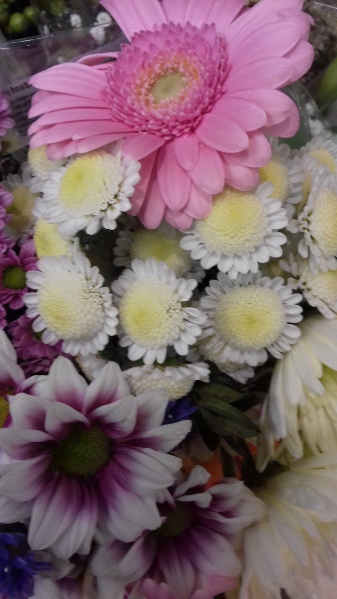 Sharonmmorton's tweet photo. Good morning everyone
Every sunrise marks the rise of life over death, hope over despair and happiness over suffering. Wishing you a very enjoyable day, and a happy blessed week ahead
💕🌷🌸🌹🌷🌸🌹🌷🌸🌹💕 https://t.co/ouTmY5uTfa