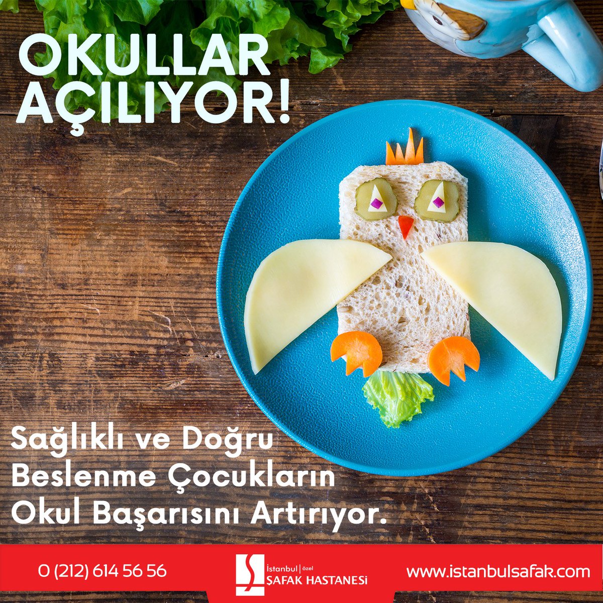 SafakHst's tweet photo. Yeni eğitim-öğretim döneminde tüm öğrenci ve öğretmenlere iyi dersler dileriz.
#eğitim #öğretim #beslenme #sağlıklıbeslenme https://t.co/ExJmdFOADK