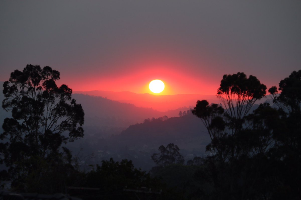 McdonnellGary's tweet photo. The smoke from all the fires around nsw  just terrible Lismore sunset yesterday photography by Gary McDonnell https://t.co/KoidrO7NJz
