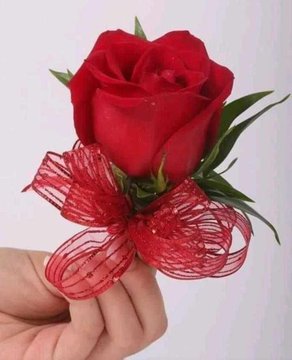 MariaDe82808101's tweet photo. https://t.co/qOrOnPTYOY