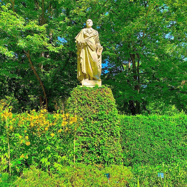 TravelRelapse's tweet photo. Bit overgrown if you ask me https://t.co/XiZv54R4Lv https://t.co/TsmLCtYsn1