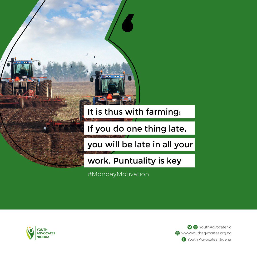 YouthAgvocateNg's tweet photo. Monday Motivation

It is thus with farming: if you do one thing late, you will be late in all your work.

Punctuality is key
#MondayMotivation #YAN #Agtivated #Agriculture #youthInAg https://t.co/mKBErYCeYa
