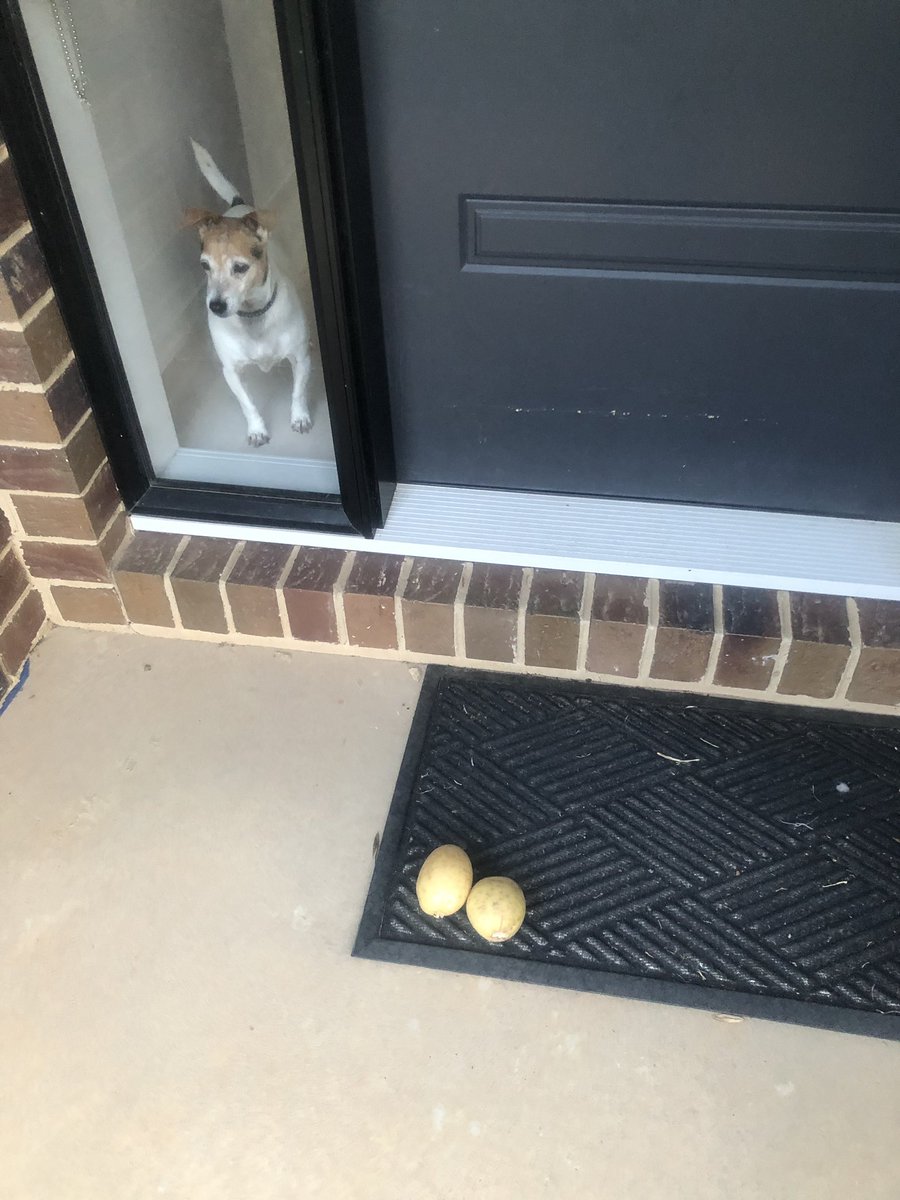 juniorboy84's tweet image. Put your spuds🥔 out! #ripspud #foxfooty #bounce #Legend #afl #goldenfist #aflsaints #ballarat #2