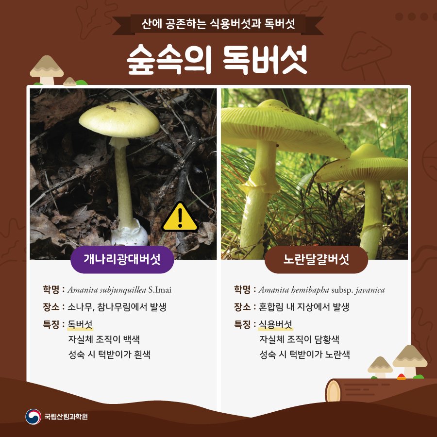 국립산림과학원 on Twitter: 국립산림과학원 On Twitter: