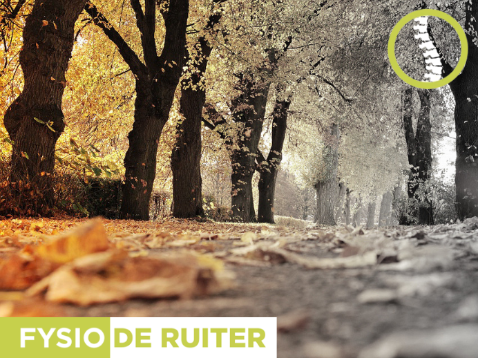 FysiodeRuiter's tweet photo. Hoe mooi de herfst ook is, veel mensen beginnen rond deze tijd last te krijgen van een zogenaamd ‘herfstdipje’. Ben je hier ook gevoelig voor? Lees dan snel verder op onze site https://t.co/7ue3KN9pnh waar een herfstdip door komt en wat je eraan kunt doen.
#hillegmon #zilk #fysio https://t.co/cqlcS1DmlZ
