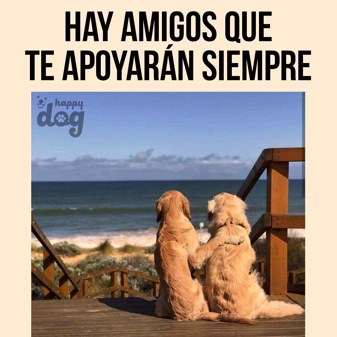 DogsAffaire's tweet photo. @DogsAffaire https://t.co/gIujHQSgJo