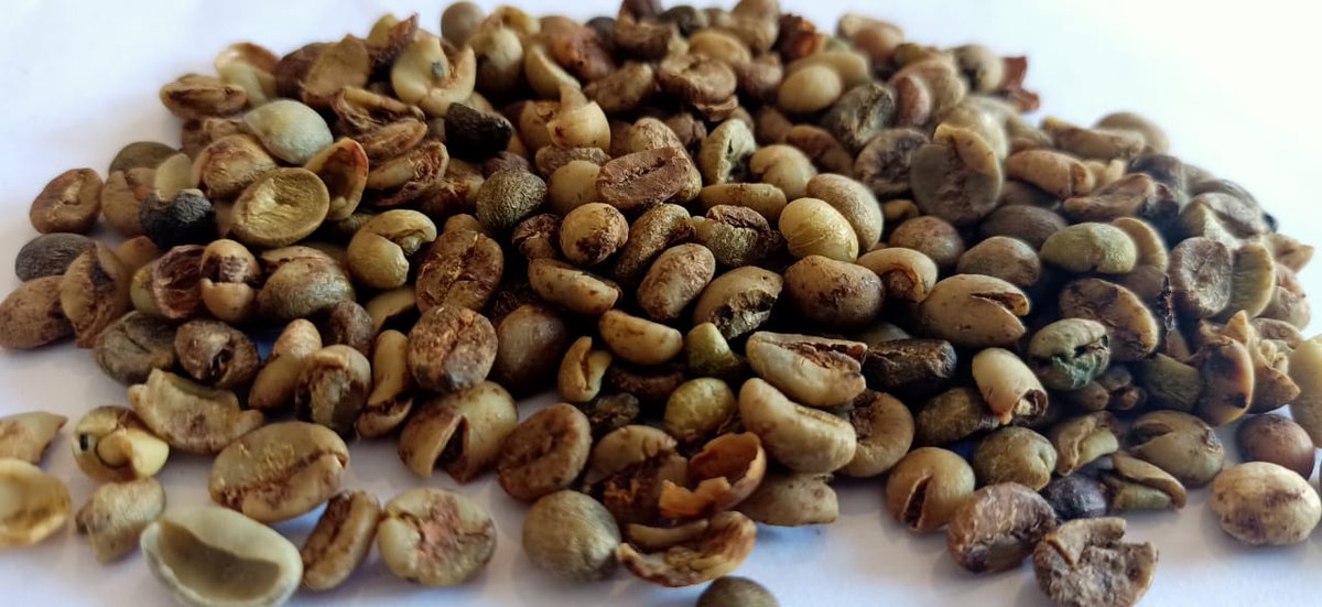 Kopi Kebon Windu Aji ID tweet media