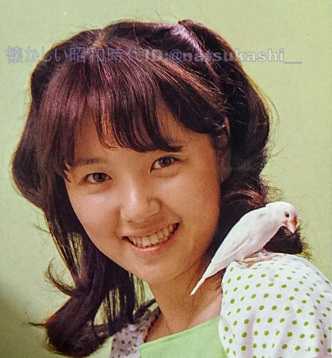 懐かしい昭和時代 Pa Twitter 浅田美代子 世紀アイドルスター大全集part2 浅田美代子 昭和 懐かしい昭和時代 Pa Twitter 浅田美代子 世紀アイドルスター大全集part2 浅田美代子 昭和