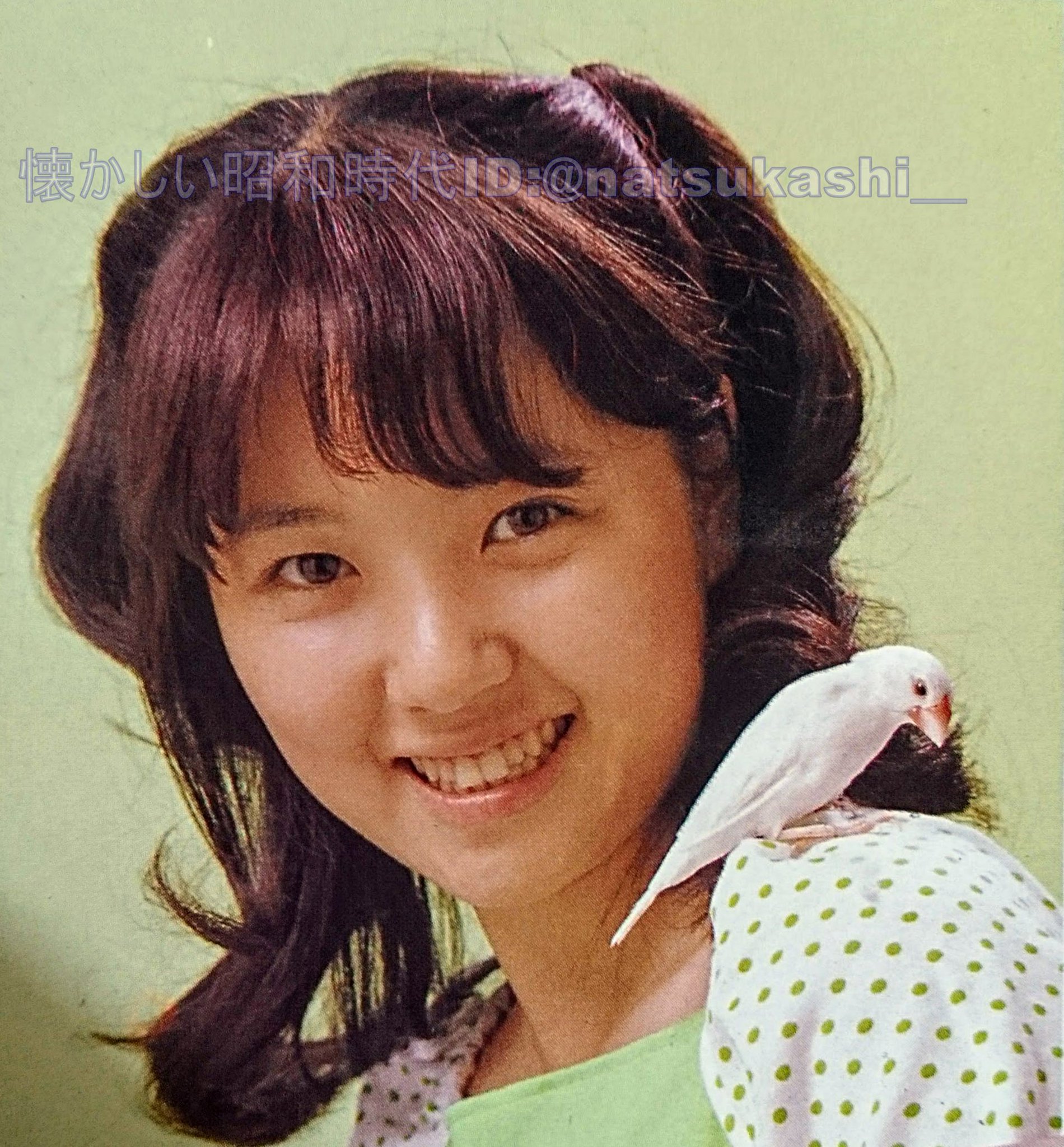 浅田美代子　ファンクラブ（８） 浅田美代子 ファンクラブ（8）