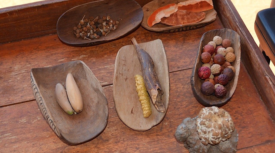 Participating in an Aboriginal-led tour is a great way to discover a lot more of #Sydney

songhotels.com.au/2019/09/09/dis…