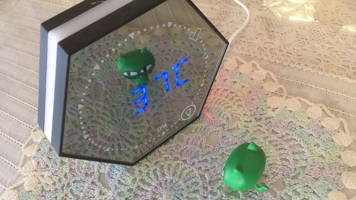 coucouTaec's tweet photo. So exhaustingly hot, today…🥵🥵
37℃ inside…
It's September, remember…?
#miniokcat #tomorrowbetterbeabetterday #toohotforseptember #2pmclock
#택연 https://t.co/IwRv60g9zj… https://t.co/jR90EuxotW