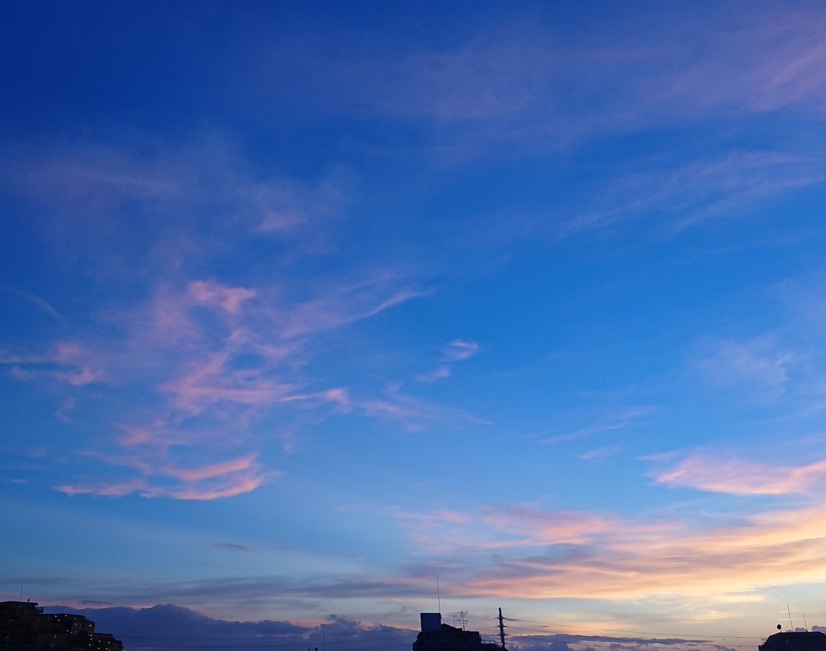 ট ইট র 久保田恵 西側は綺麗な夕焼け 東は紫やピンク色の夕焼け雲の中にお月様 ゚ 台風は来ないで欲しいけど 美しいお土産を置いていきました ট ইট র 久保田恵 西側は綺麗な夕焼け 東は紫やピンク色の夕焼け雲の中にお月様 ゚ 台風は来ないで欲しいけど 美しいお土産を置いていきました
