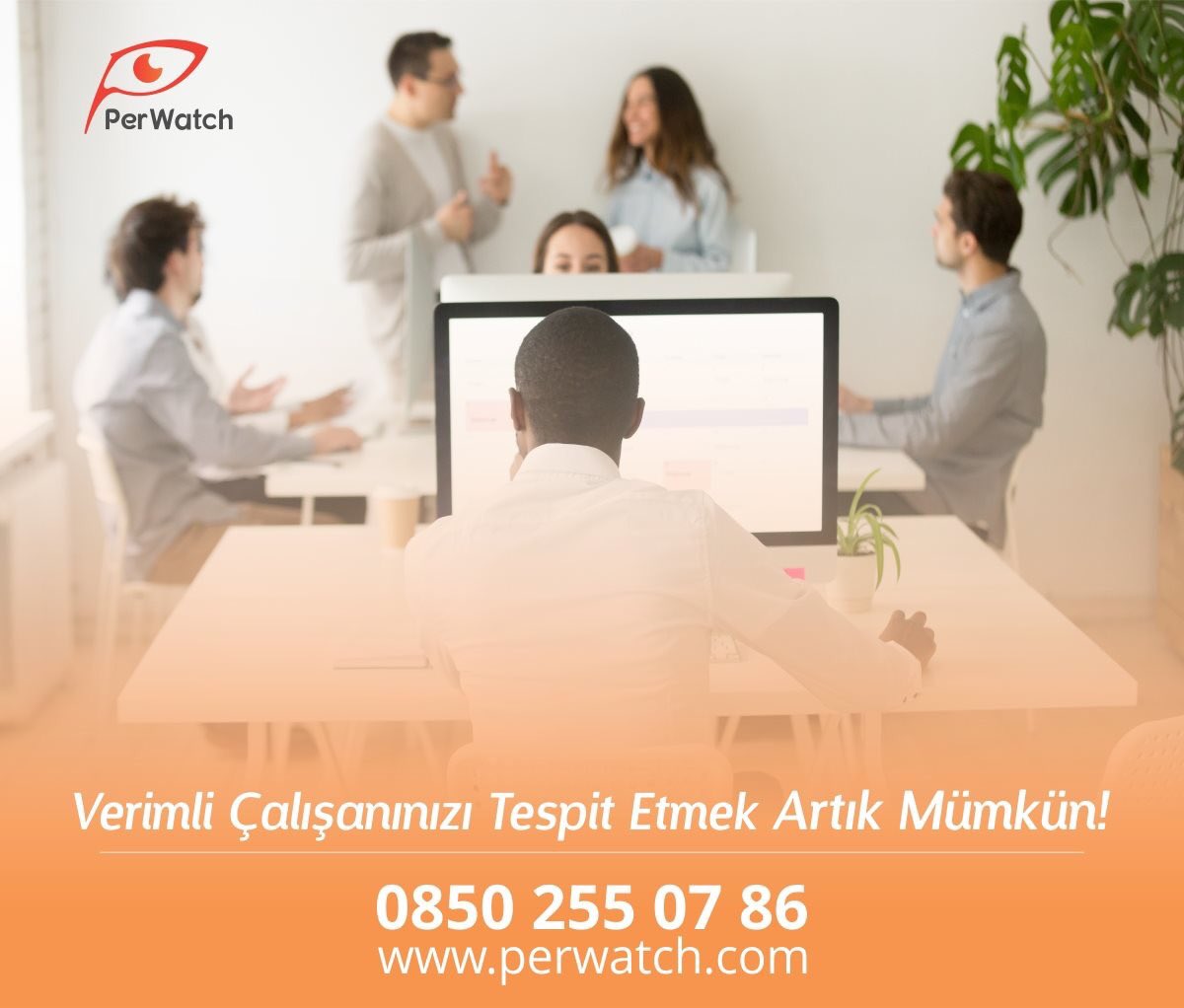 Perwatch tweet media