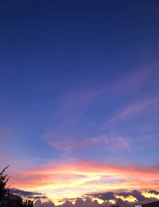 夕焼け良い。夕焼けすごいよ見てーと教えてくれる人も良い。 