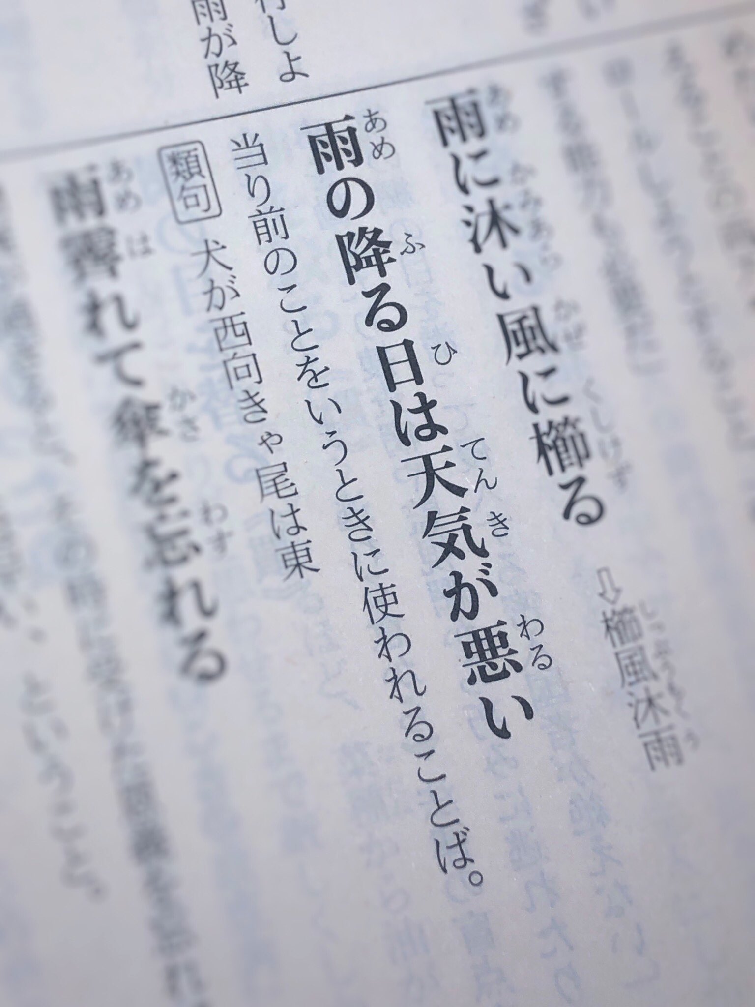 ゐずみ Wizumi めちゃくちゃ頭悪いことわざ見つけたと思ったら意味がそういう意味だった T Co Eufqv6y4pe Twitter